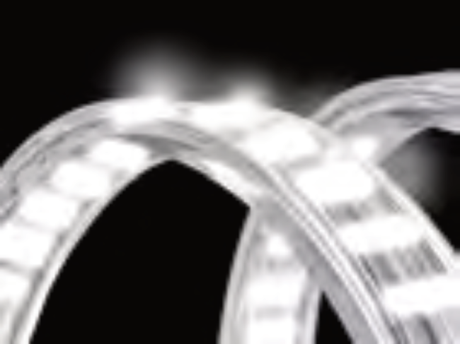 Flextec Rope Lighting Fortec Rope Light LED Lichtschlauch 25 Meter | Torenko.ch ...